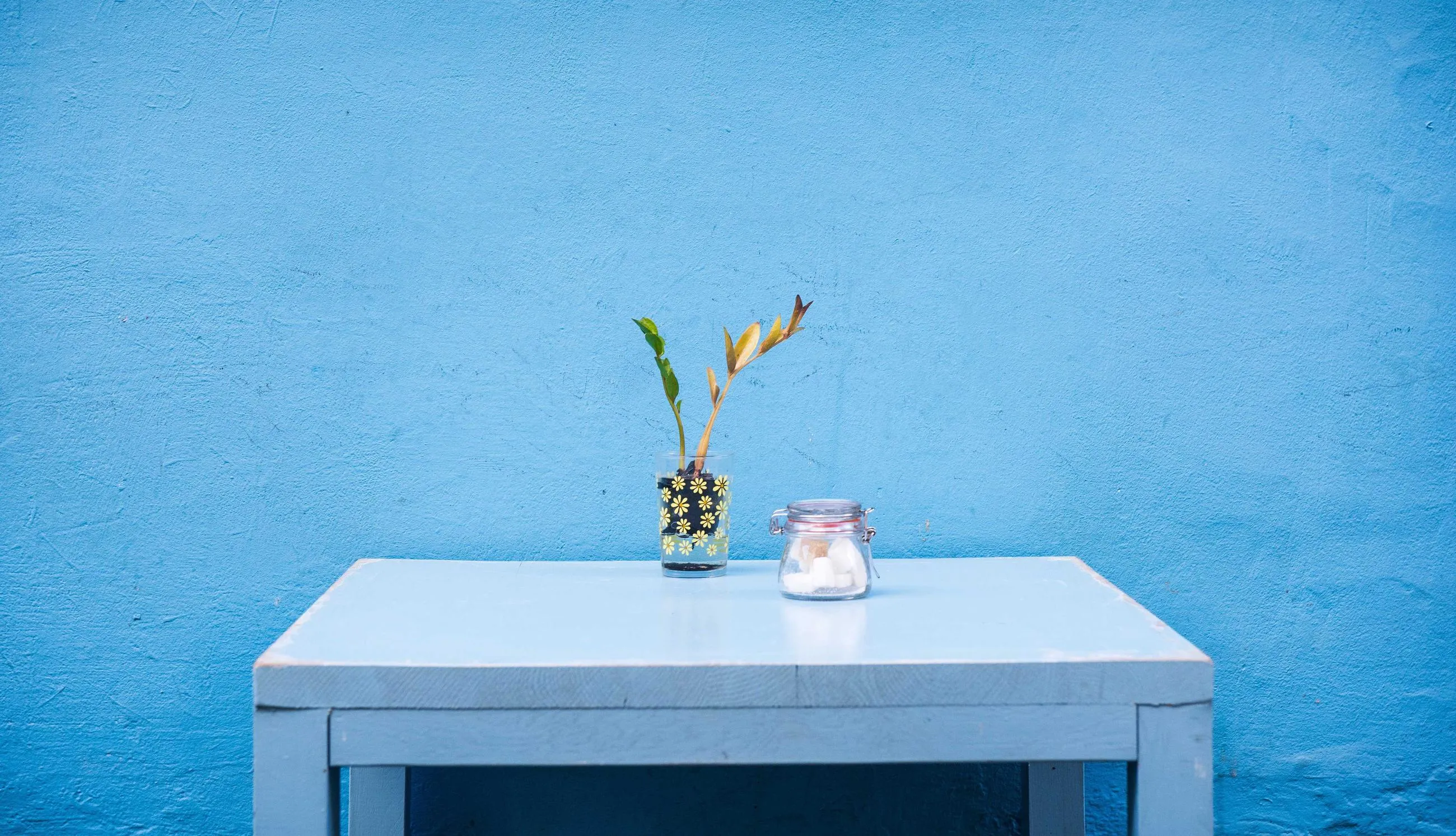 A pale blue table against a blue wall, holding a small plant and a glass candle holder.